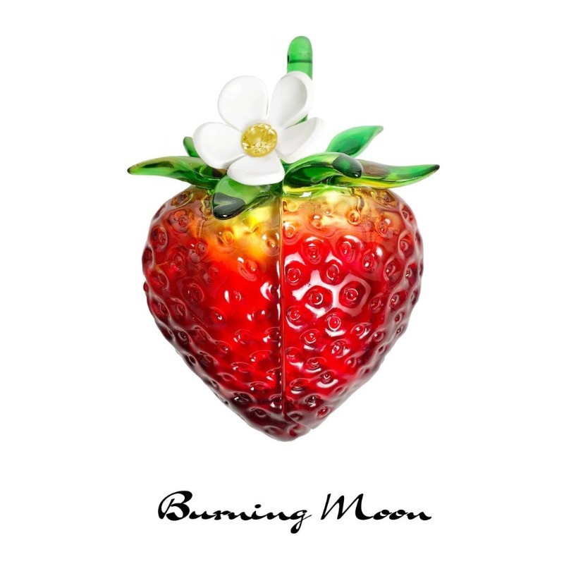 Strawberry Earphone Case for A - 3D Printing Housing 评论和价格