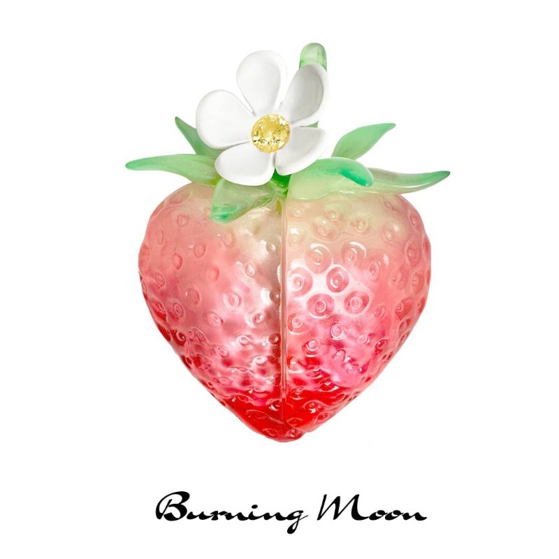 Strawberry Earphone Case for A - 3D Printing Housing 评论和价格