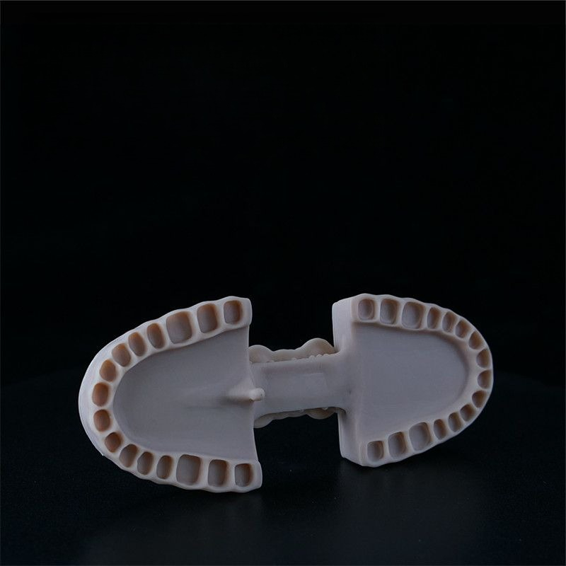 Dental Model Resin LCD Photocu - 3D Printing Orthodontics 评论和价格